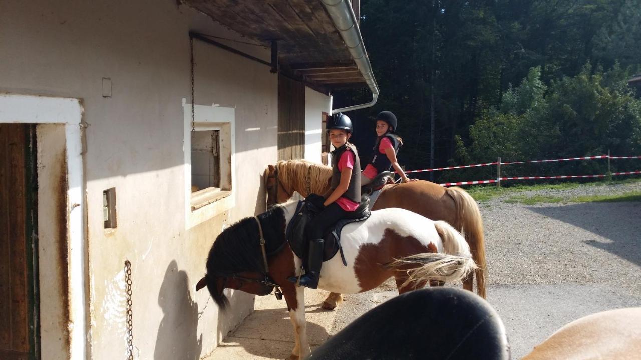 Ferienwohnung Moitz Heimschuh Εξωτερικό φωτογραφία